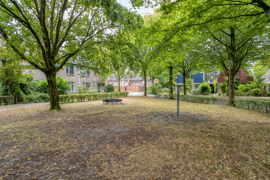 Foto 43 van Apollolaan 50