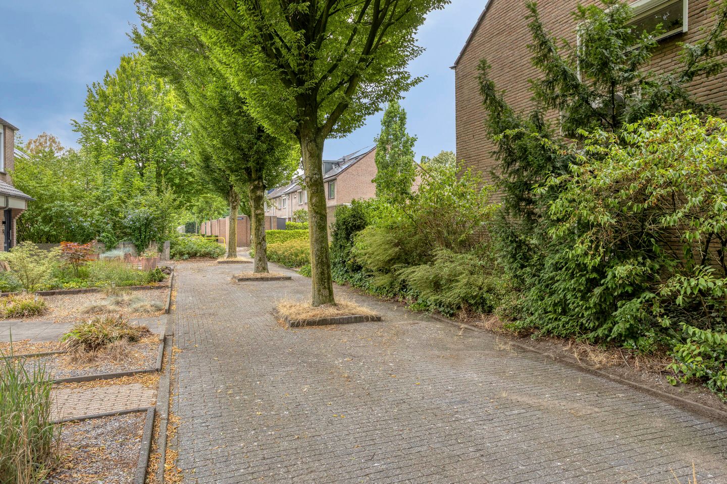 Foto 44 van Apollolaan 50