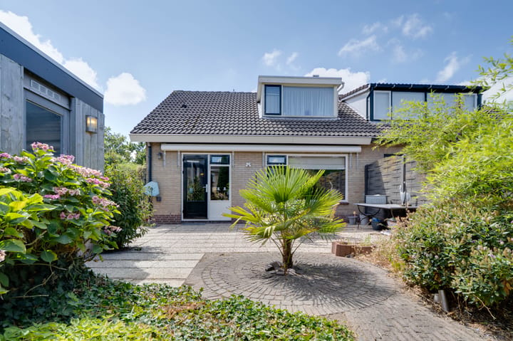 Foto 4 van Hoge Pad 6