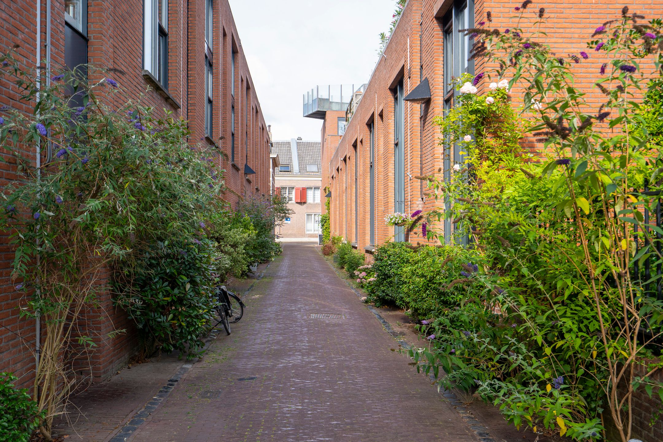 Photo 36 of Revetsteeg 5-A