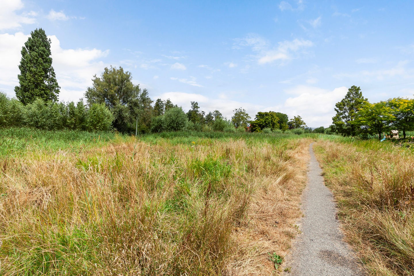 Foto 44 van Populierendreef 25