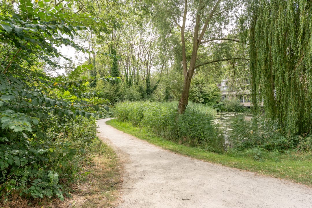 Foto 43 van Van Bijnkershoeklaan 99