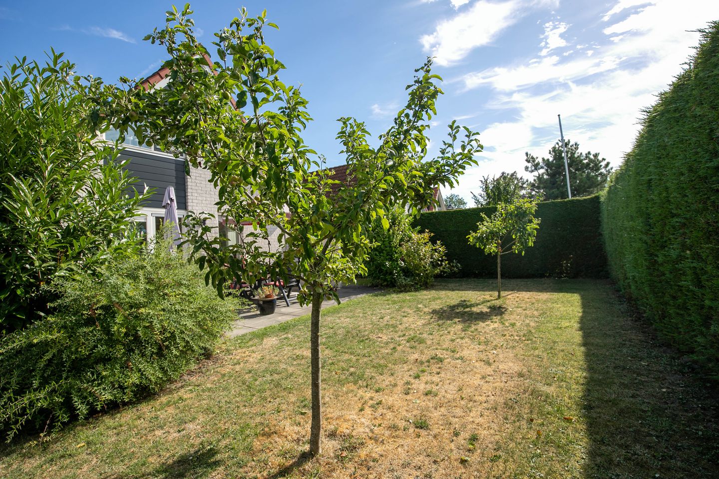 Photo 25 of Schoneveld 331