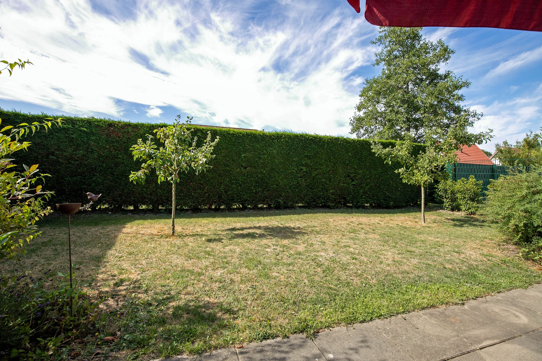Photo 24 of Schoneveld 331