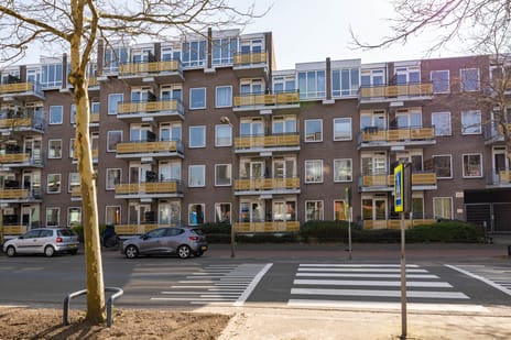Zuidvliet thumbnail
