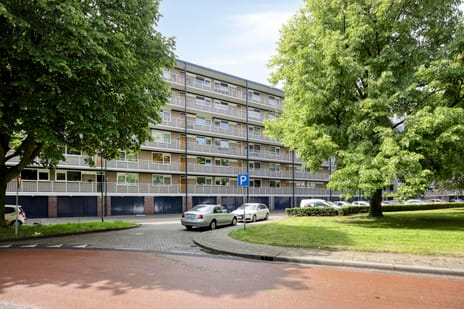 Kruiskampsingel thumbnail