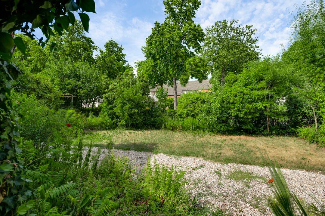 Foto 43 van Molenveldstraat 1