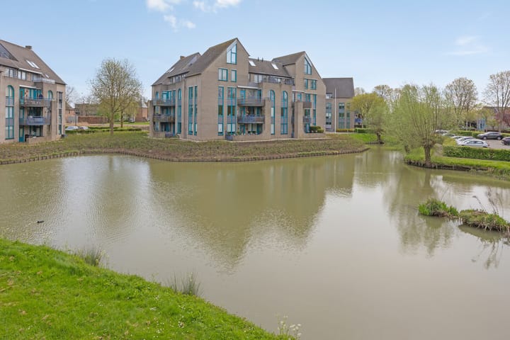 Foto 4 van de Balmerd 177
