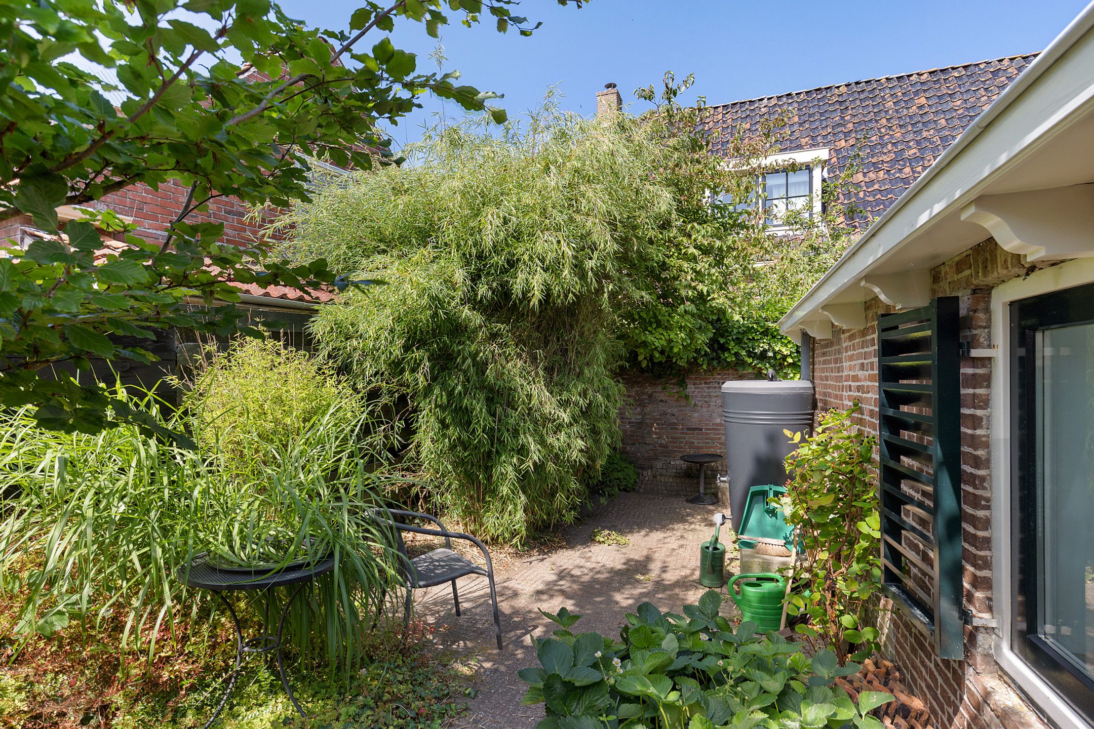 Photo 39 of Grutte Loane 4