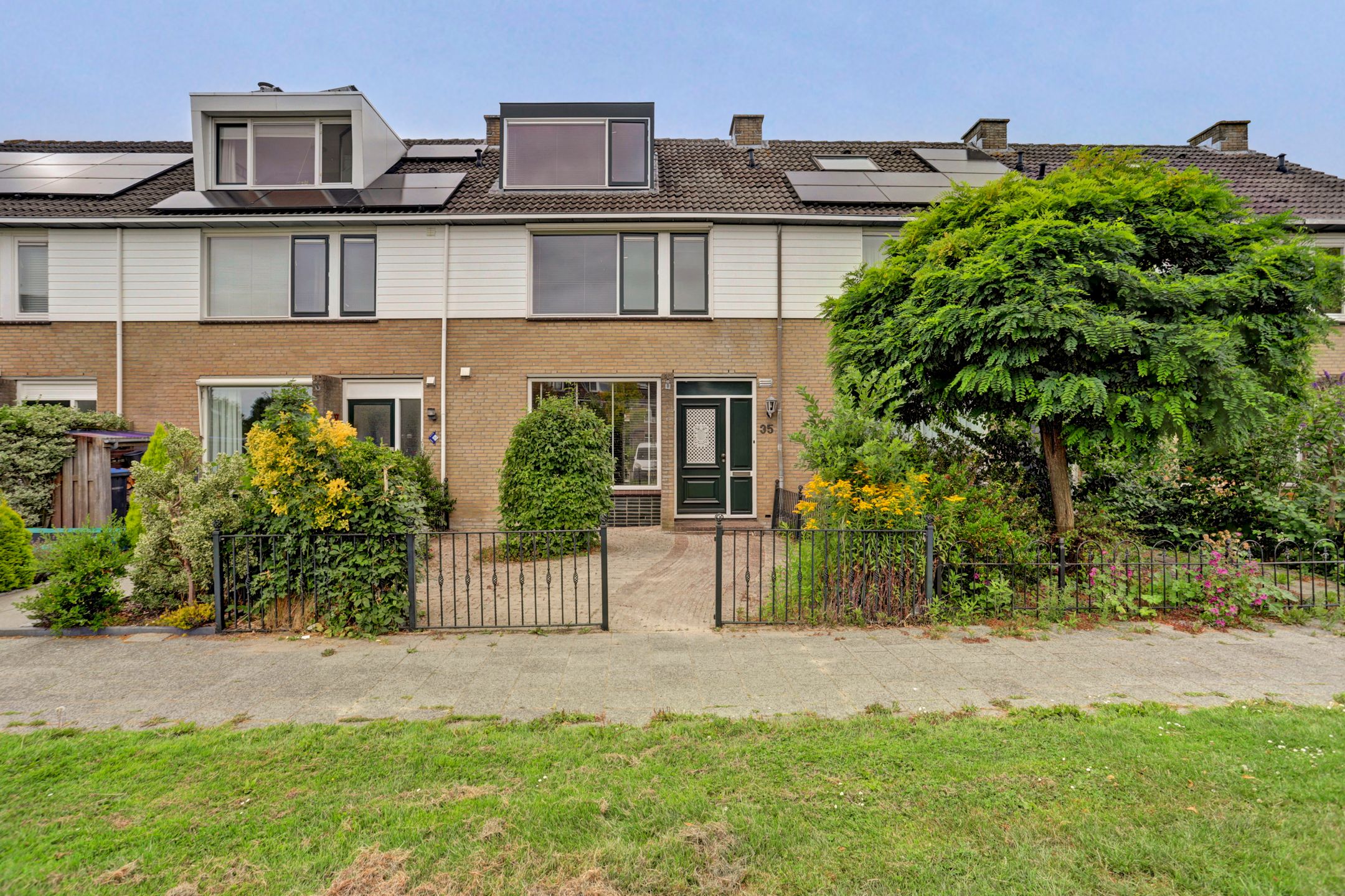Goudplevier 35 