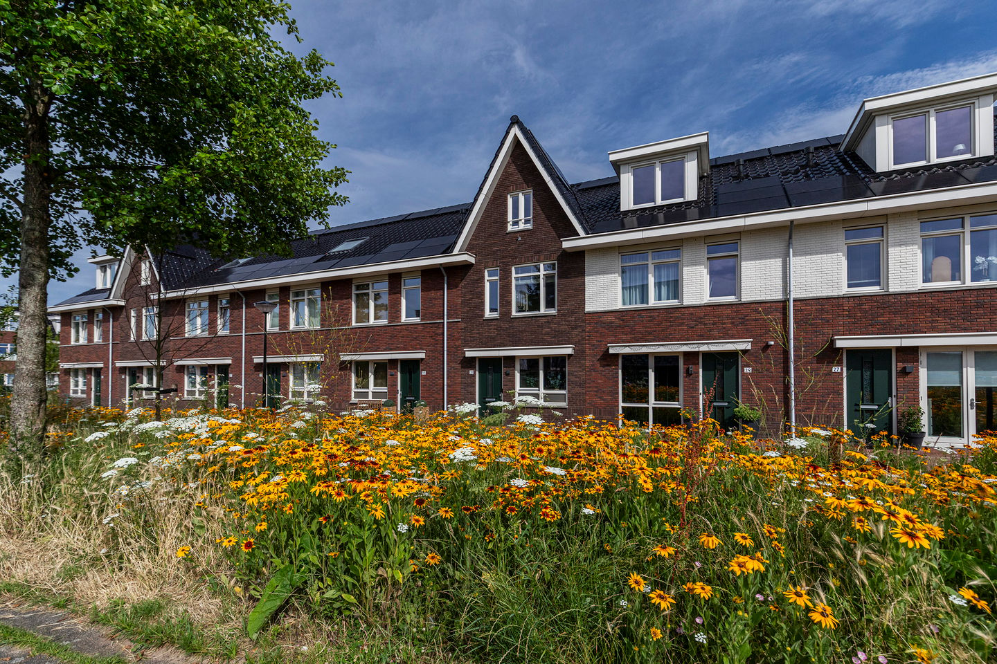 Photo 49 of Edgar du Perronstraat 31
