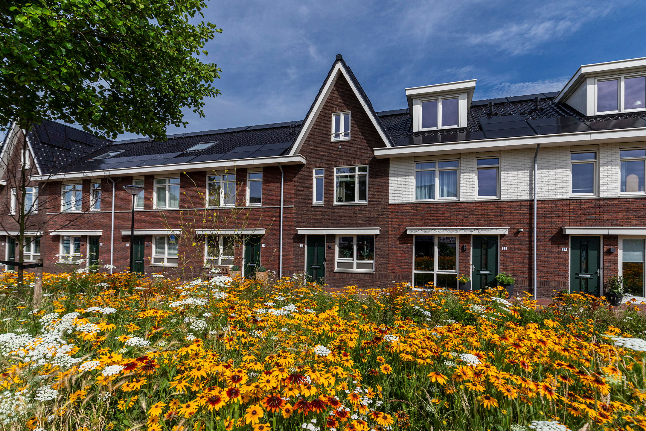 Photo 48 of Edgar du Perronstraat 31