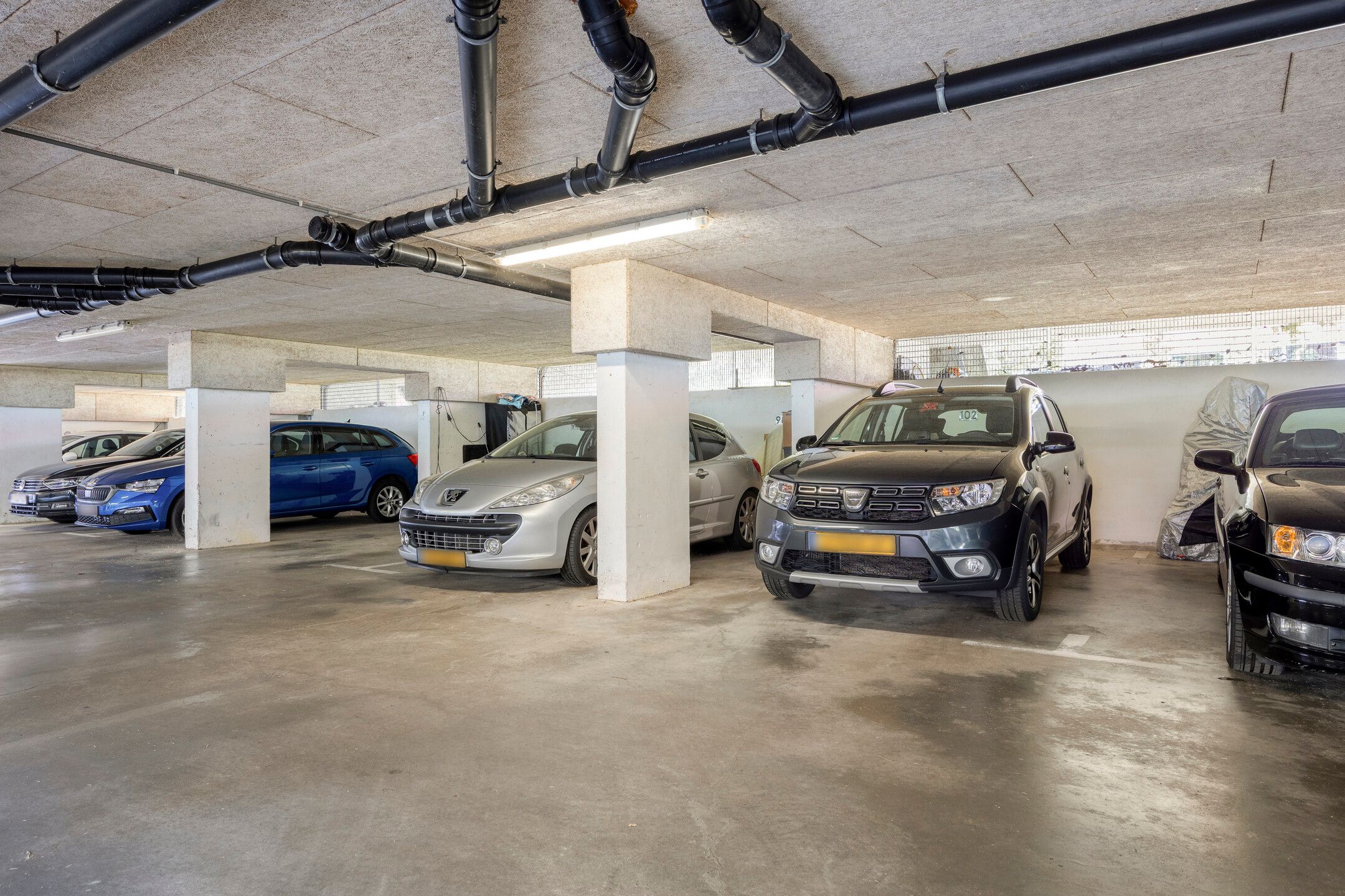 Photo 33 of Meerval 102