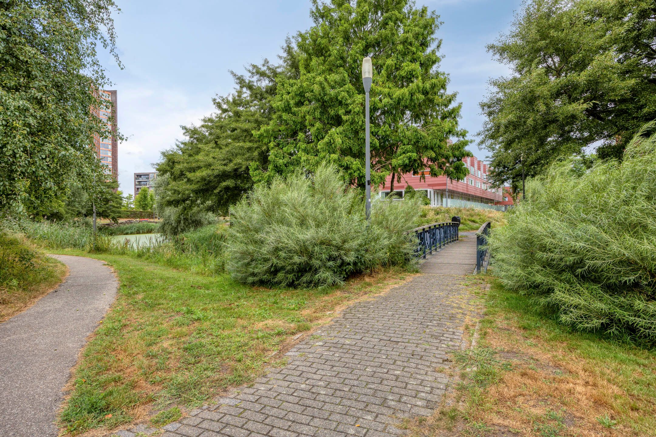 Photo 36 of Meerval 102