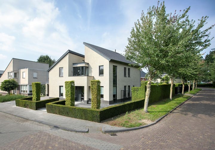 Foto 4 van Windwijzer 2