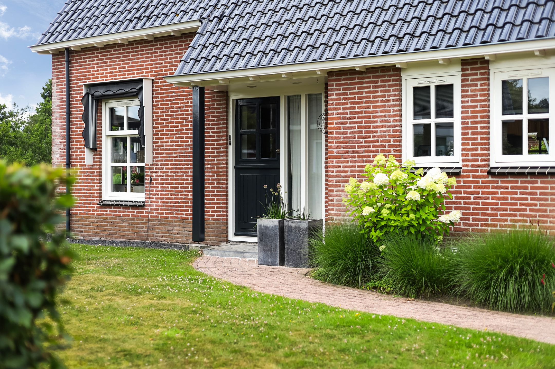 Photo 9 of Pijlkruid 3