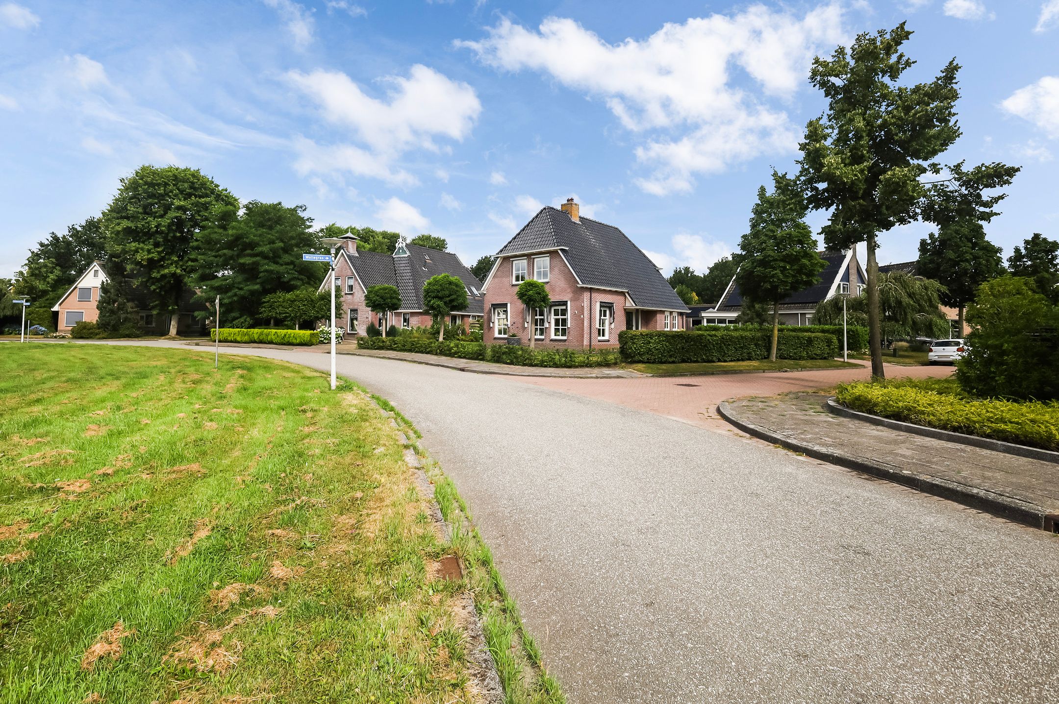 Photo 6 of Pijlkruid 3