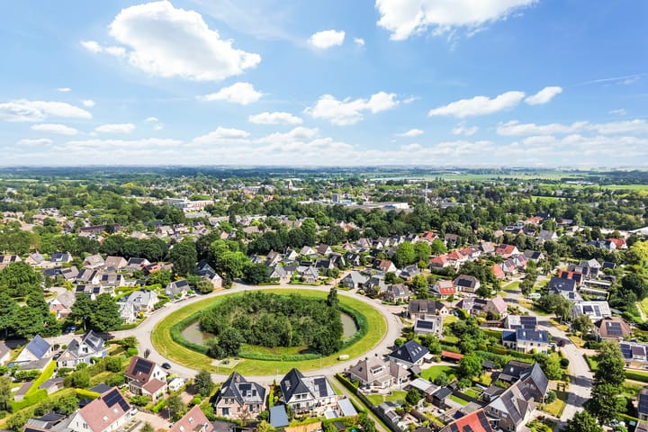 Photo 3 of Pijlkruid 3