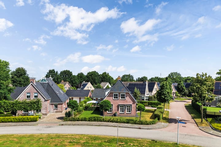 Photo 4 of Pijlkruid 3