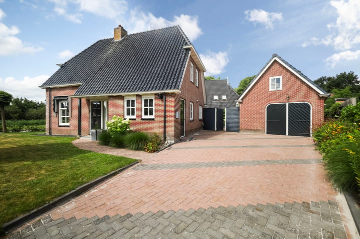 Photo 2 of Pijlkruid 3