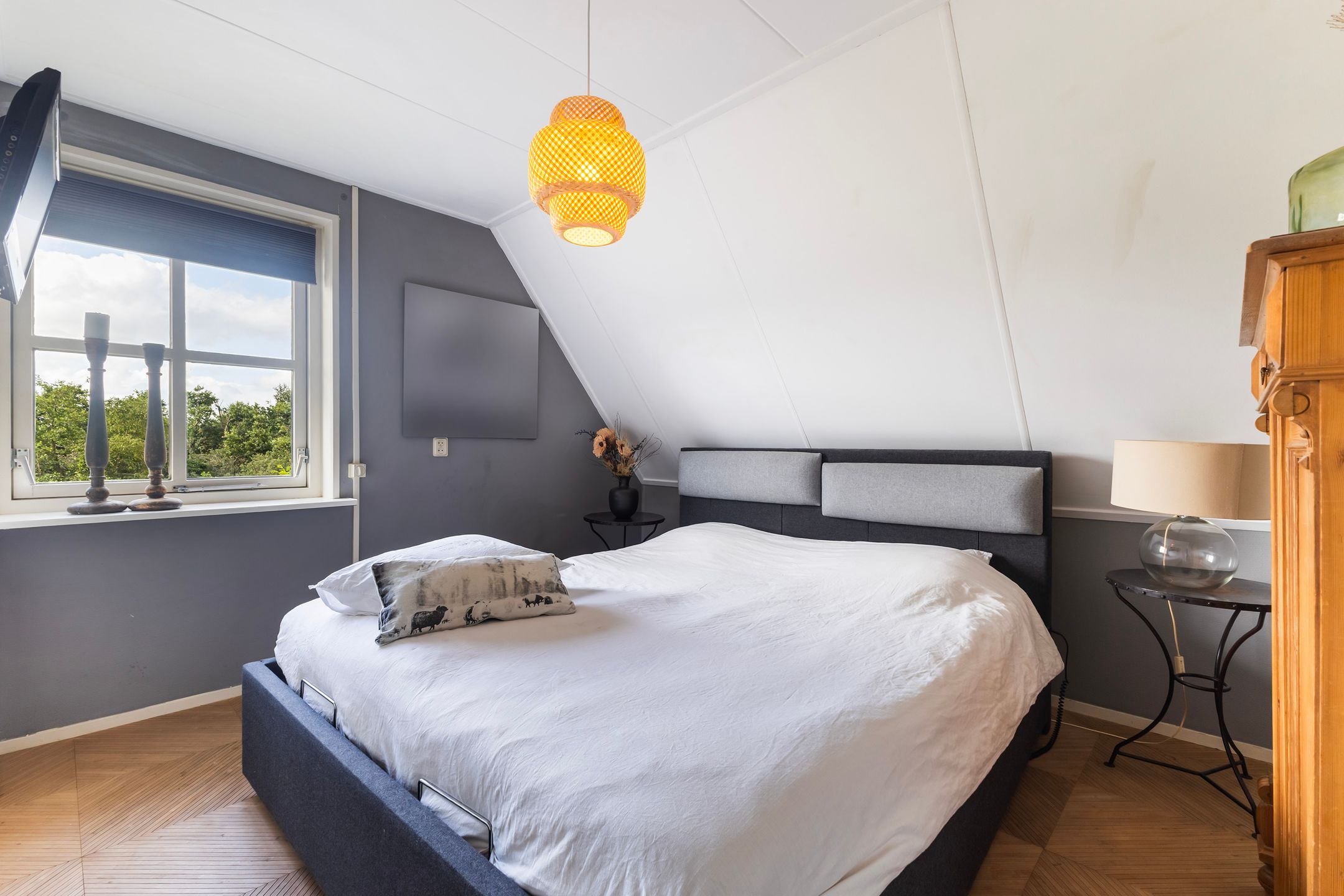 Photo 33 of Pijlkruid 3