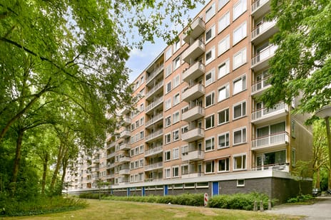 Van Nijenrodeweg thumbnail