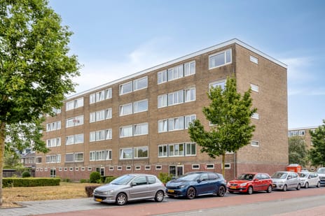 Zonstraat thumbnail