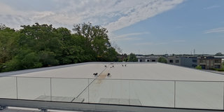 View 360° photos