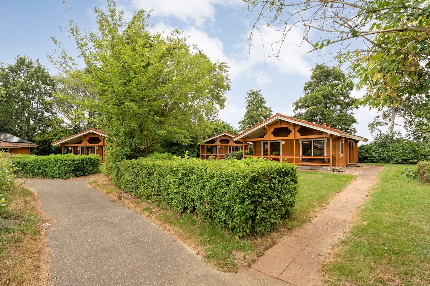 Foto 4 van Boslaan 1-R174