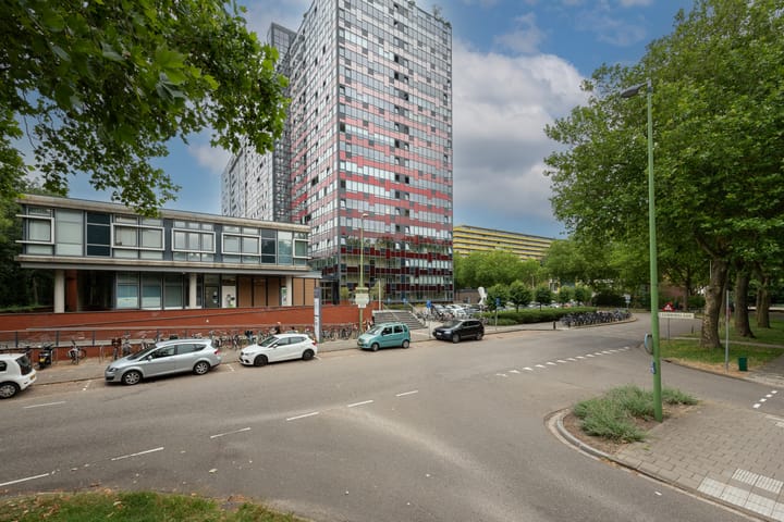Foto 3 van Laan van Vollenhove 26