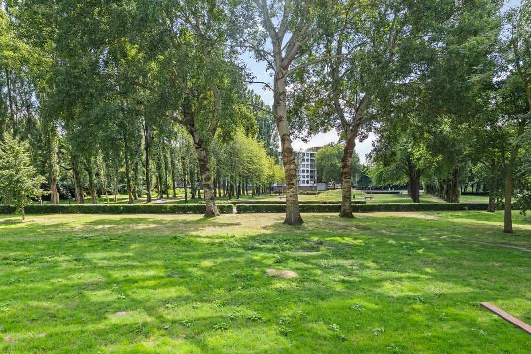 Photo 16 of Kasterleestraat 202