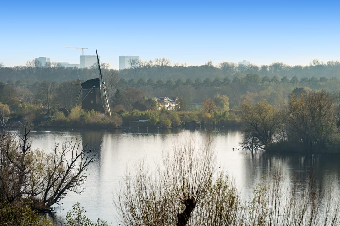 Photo 37 of Freericksplaats 79