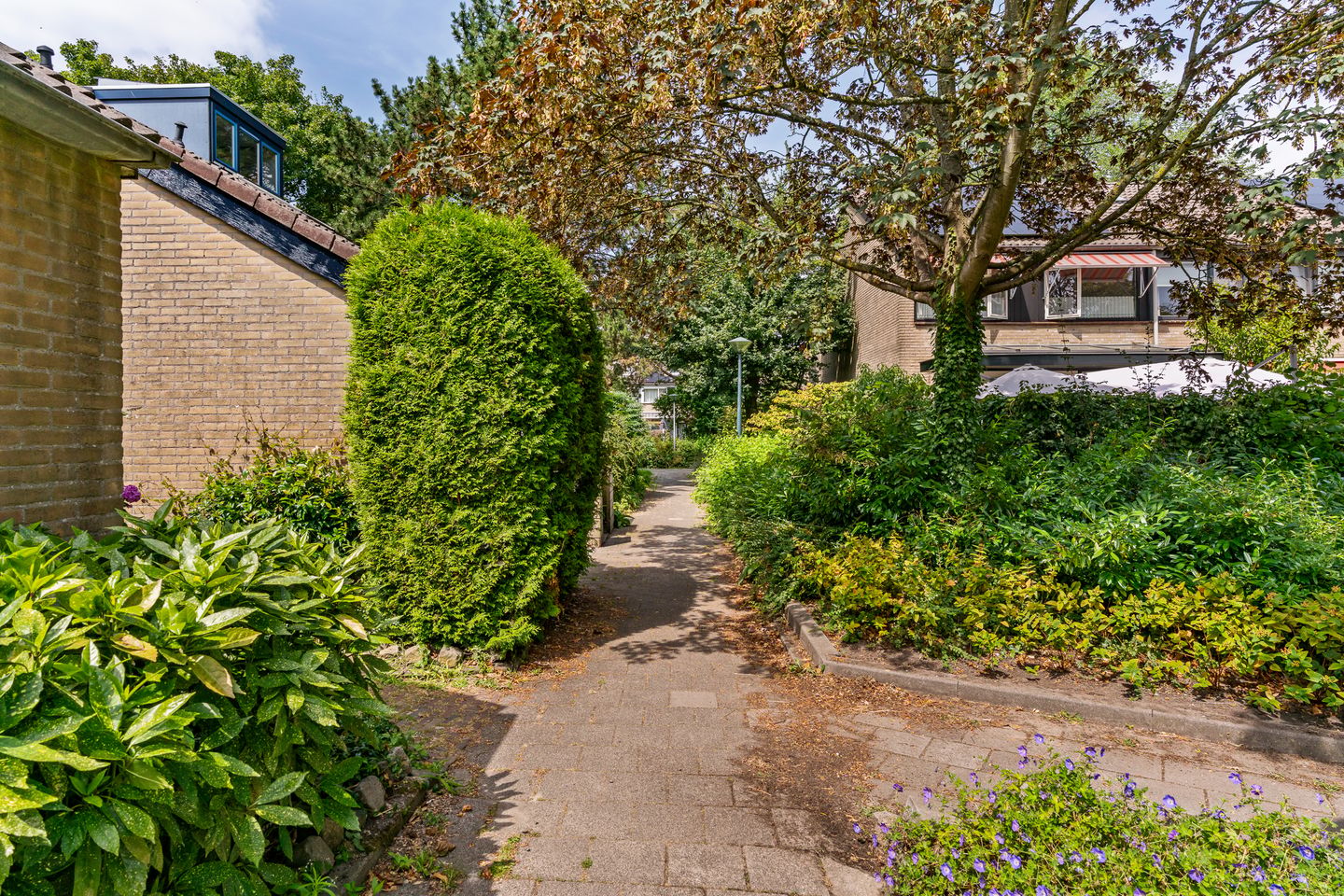 Foto 44 van Lijndraaier 144