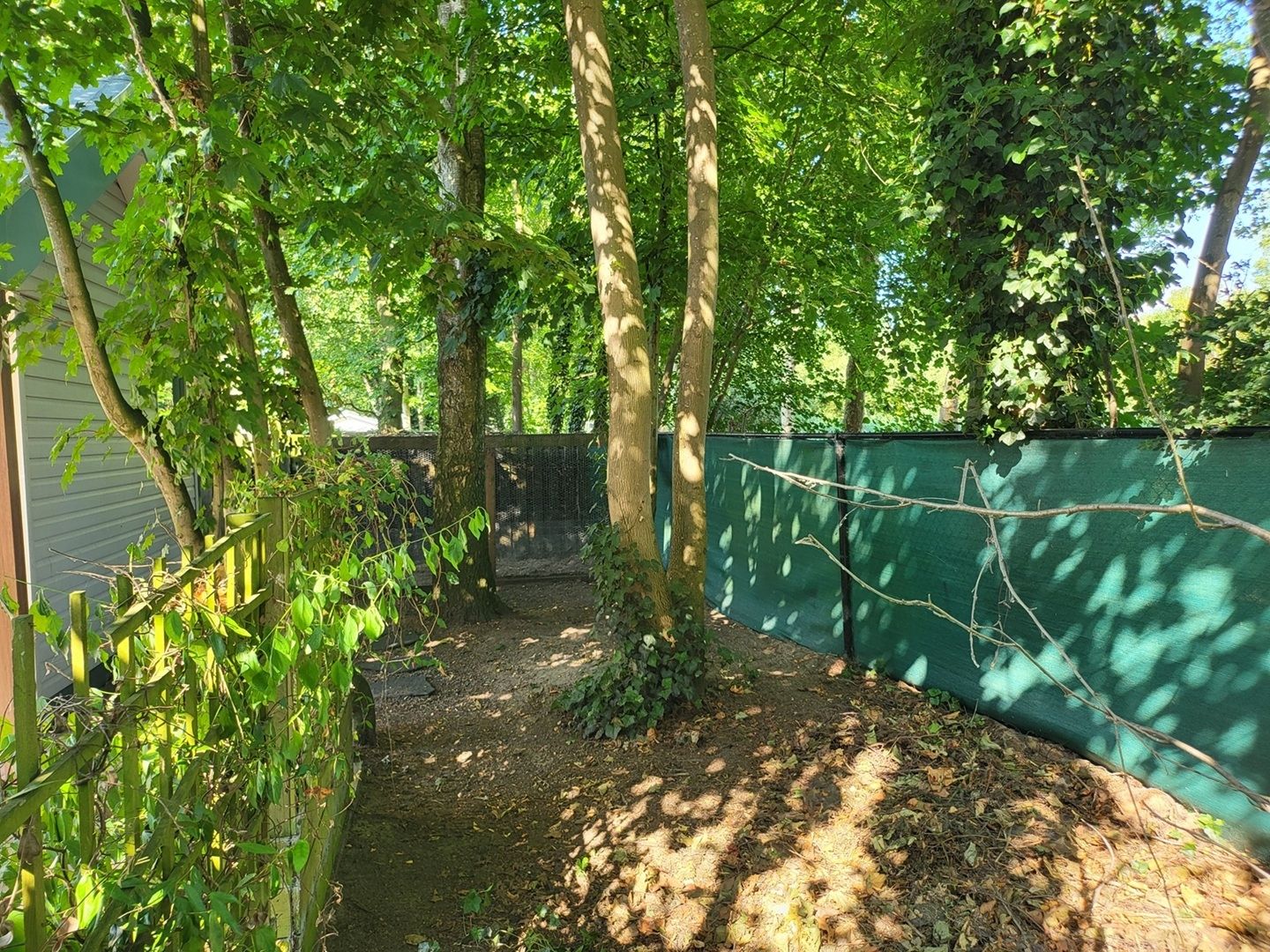2-bedroom freehold villa in Schijndel — photo 4 of 5