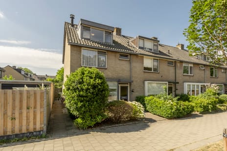 W. van Vlietstraat thumbnail