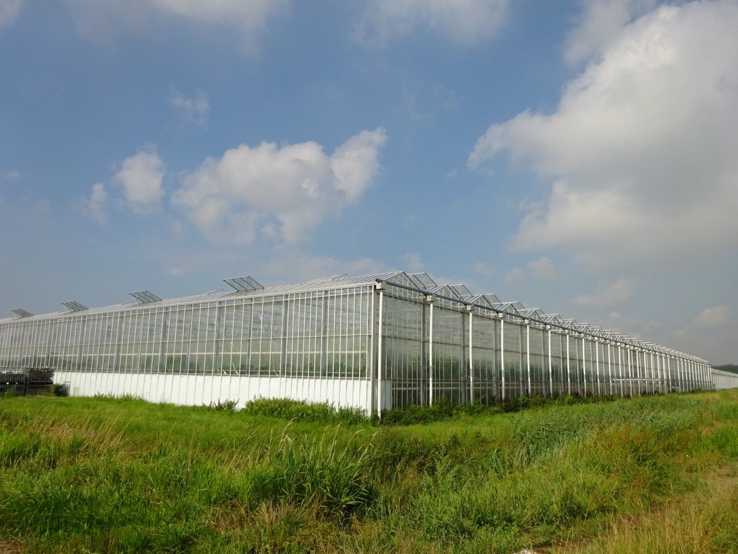 Randweg 3 - Poortvliet - Afbeelding 3