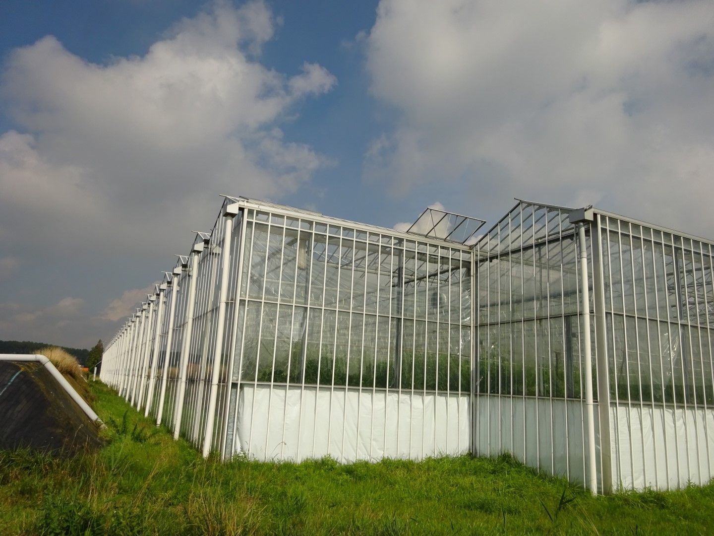 Randweg 3 - Poortvliet - Afbeelding 4