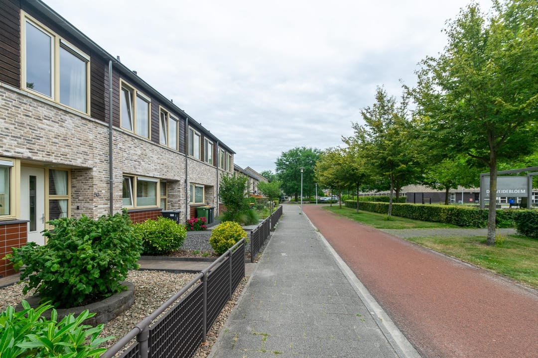 Photo 46 of Schweitzerstraat 50