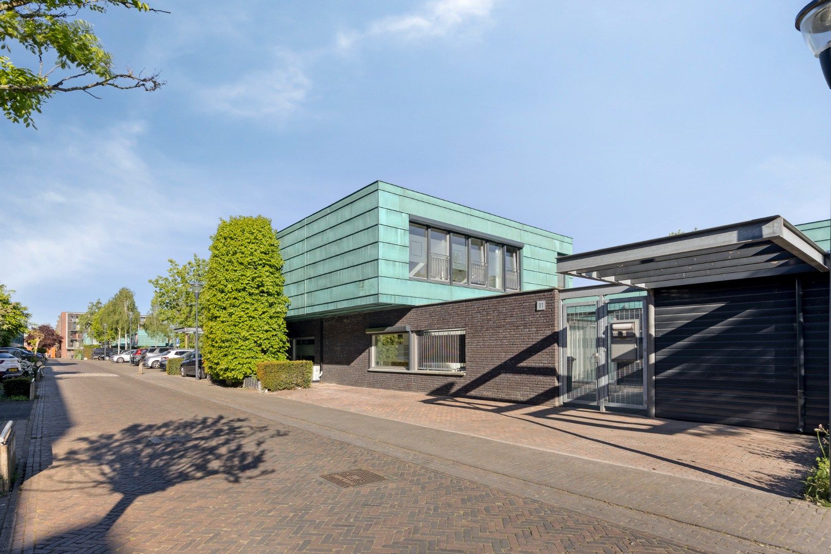 Graslelie 11 