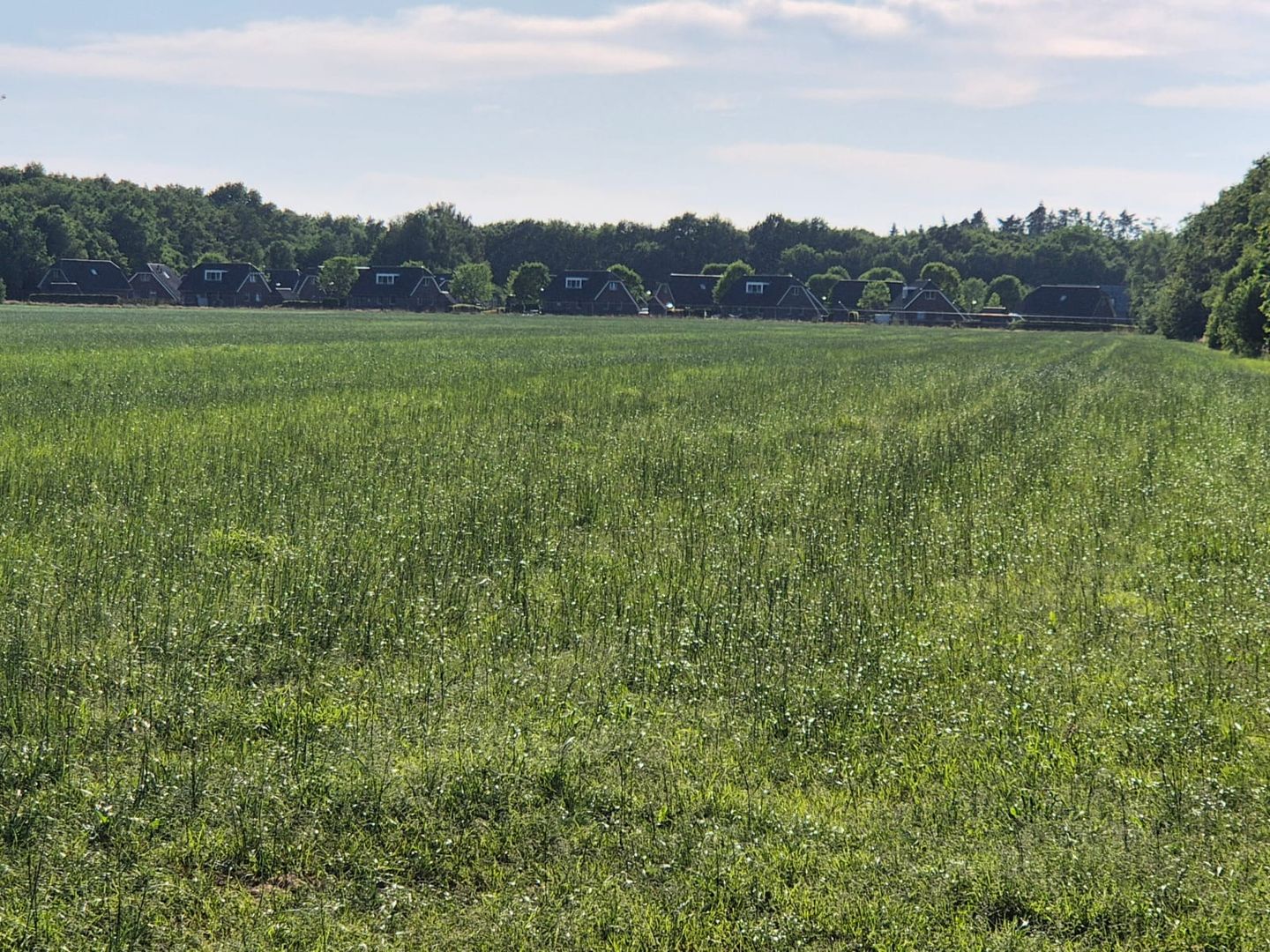 Akkerweg - Hollandscheveld - Afbeelding 6