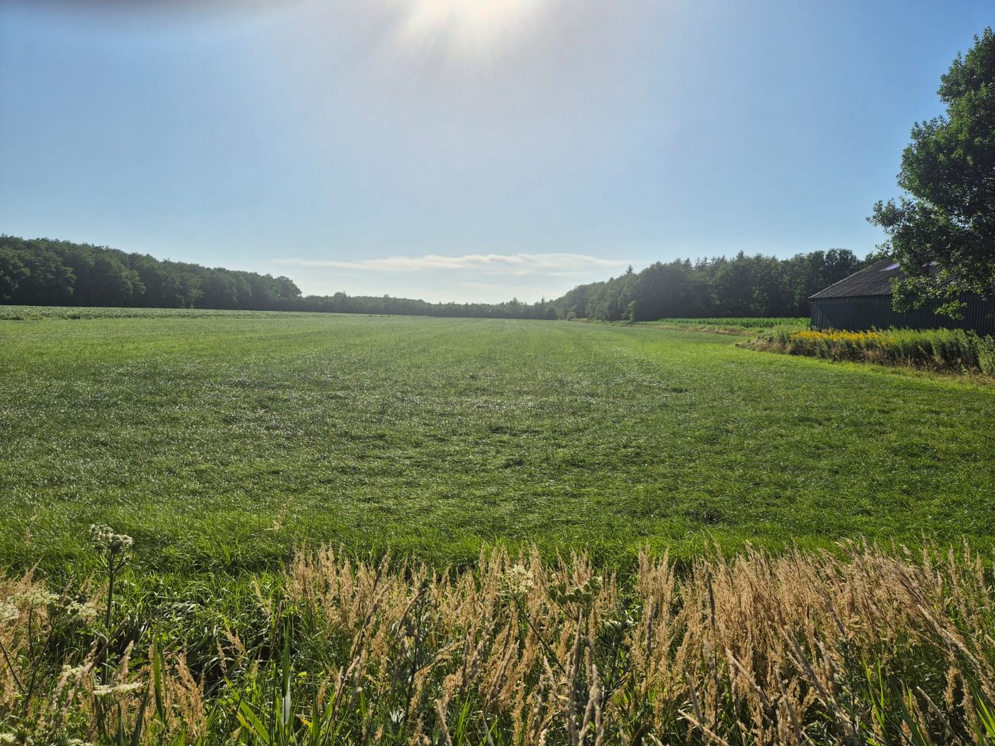 Akkerweg - Hollandscheveld - Afbeelding 5