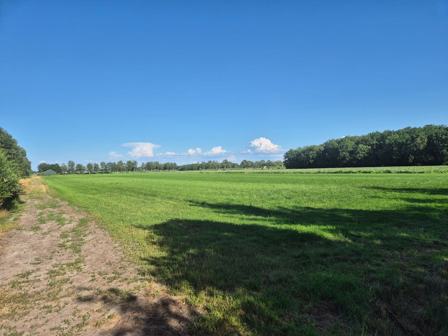 Akkerweg - Hollandscheveld - Afbeelding 7