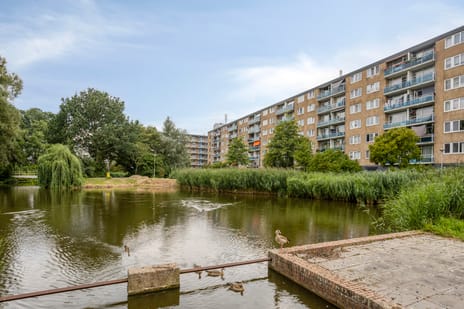Plutostraat thumbnail