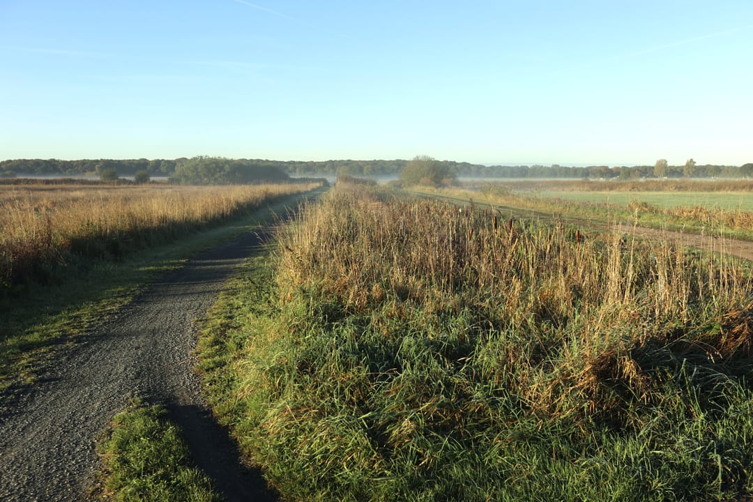 Foto 56 van Nieuwedijk 9