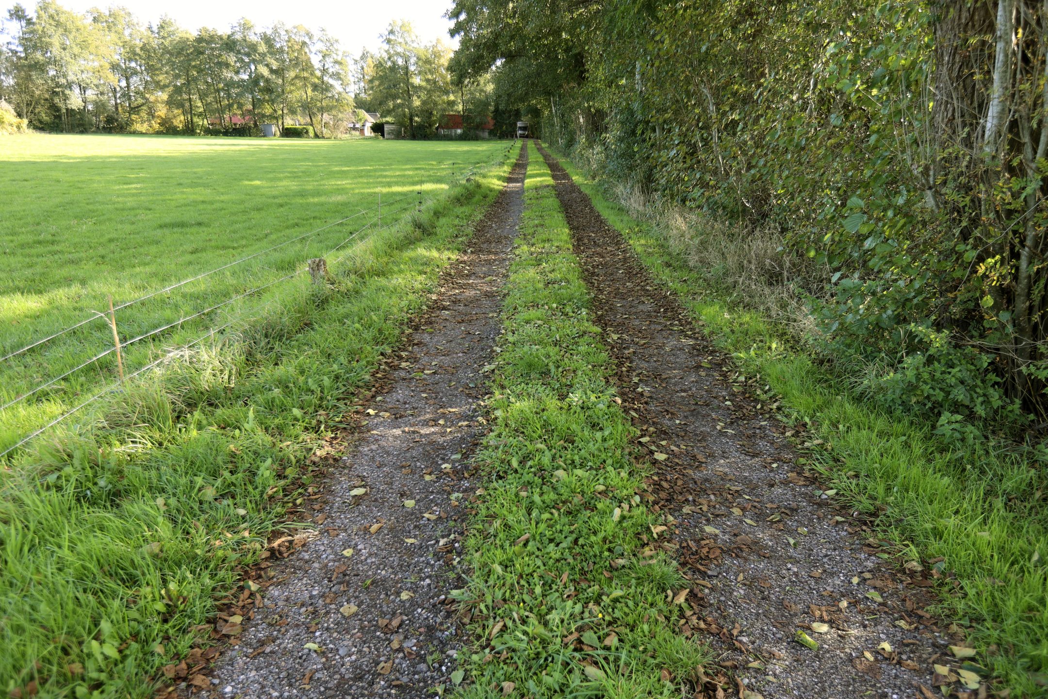 Foto 57 van Nieuwedijk 9