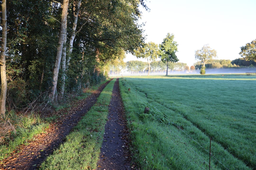 Foto 58 van Nieuwedijk 9