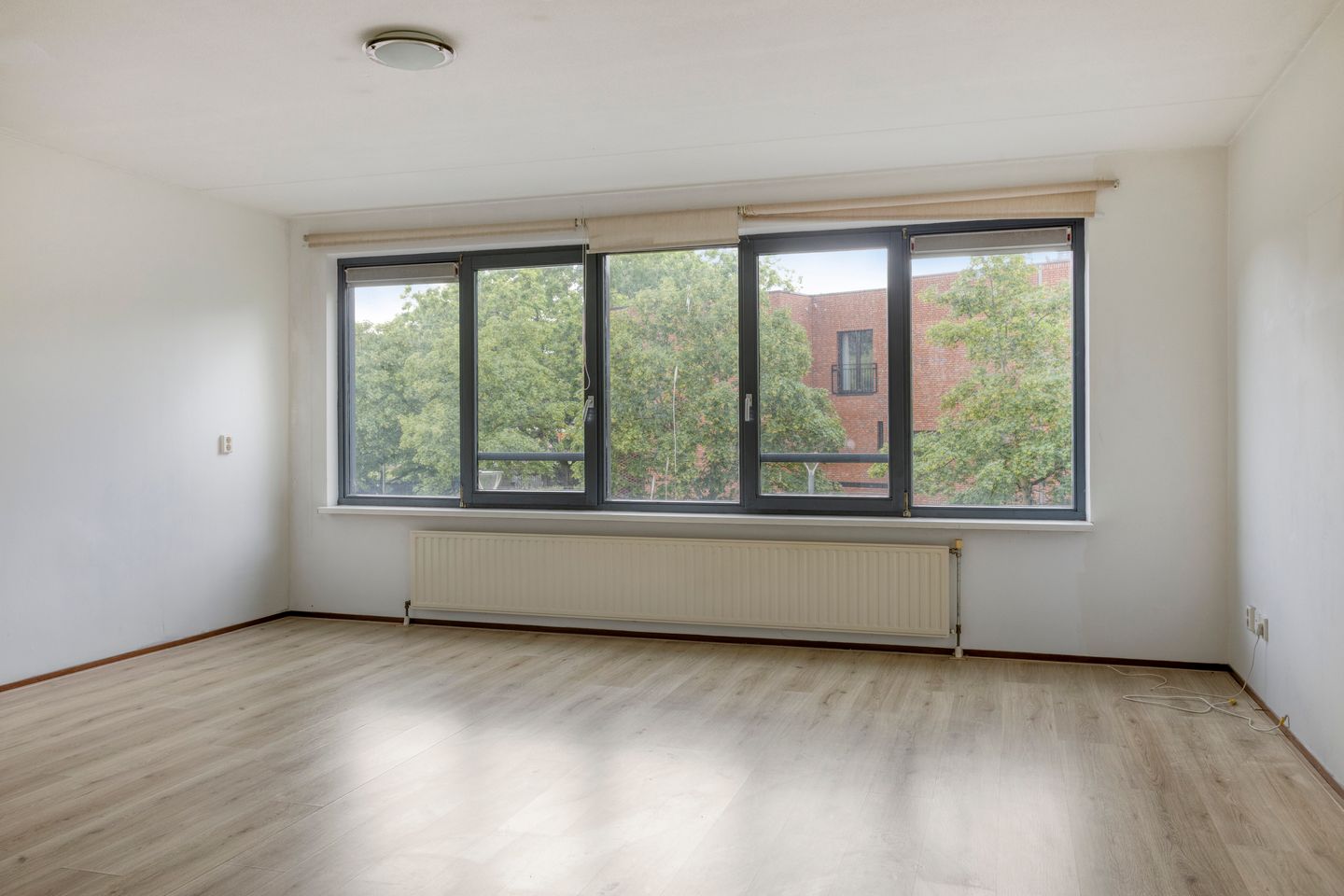 Foto 4 van Korte Schijfstraat 124
