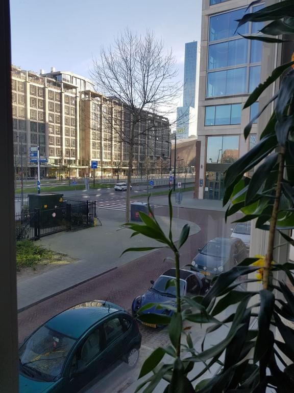 Foto 7 van Diergaardesingel 54-B