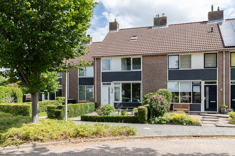 Roerdompstraat thumbnail