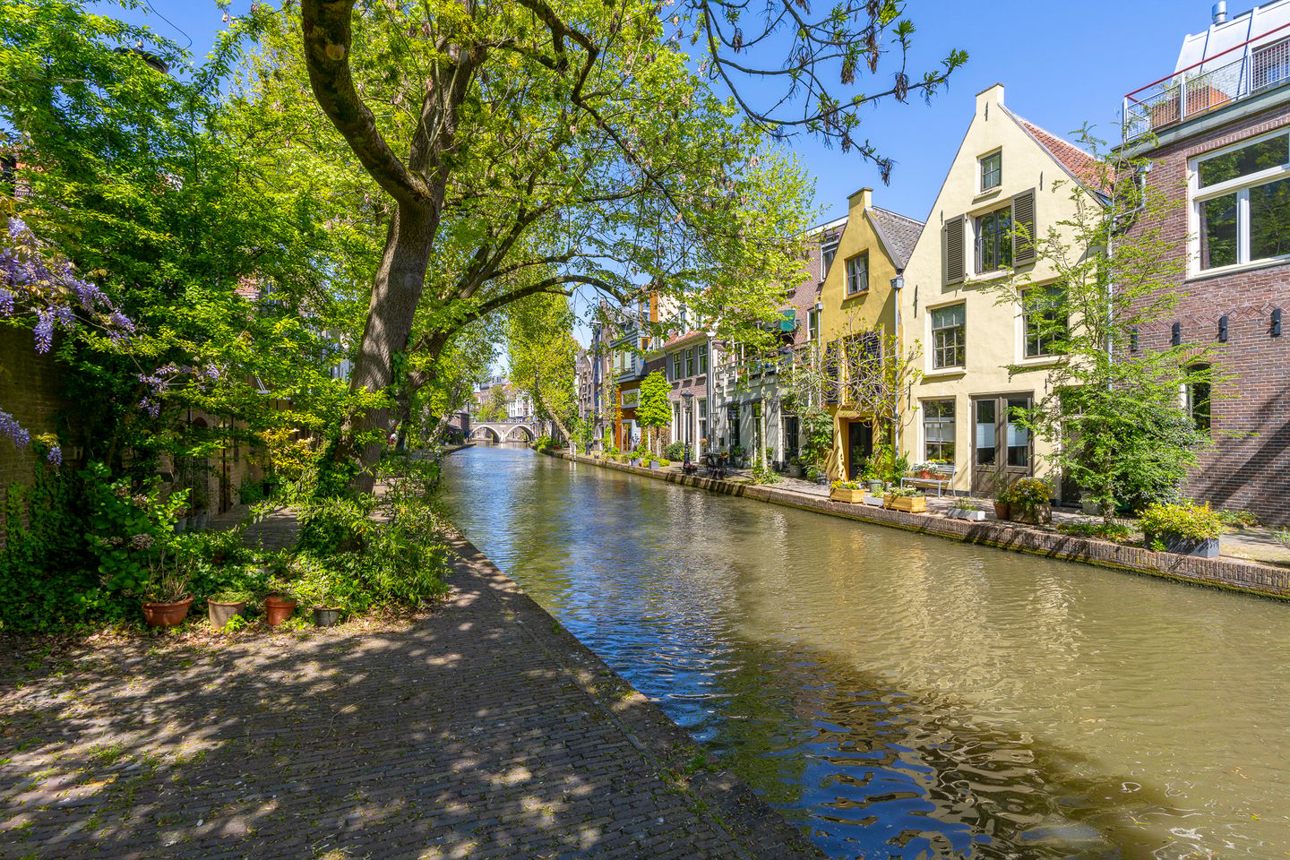 Foto 4 van Oudegracht 407